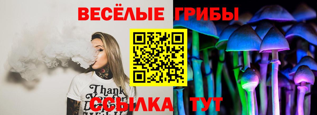 Богданович  Псилоцибиновые грибы MAGIC MUSHROOMS  Вход с VPN 